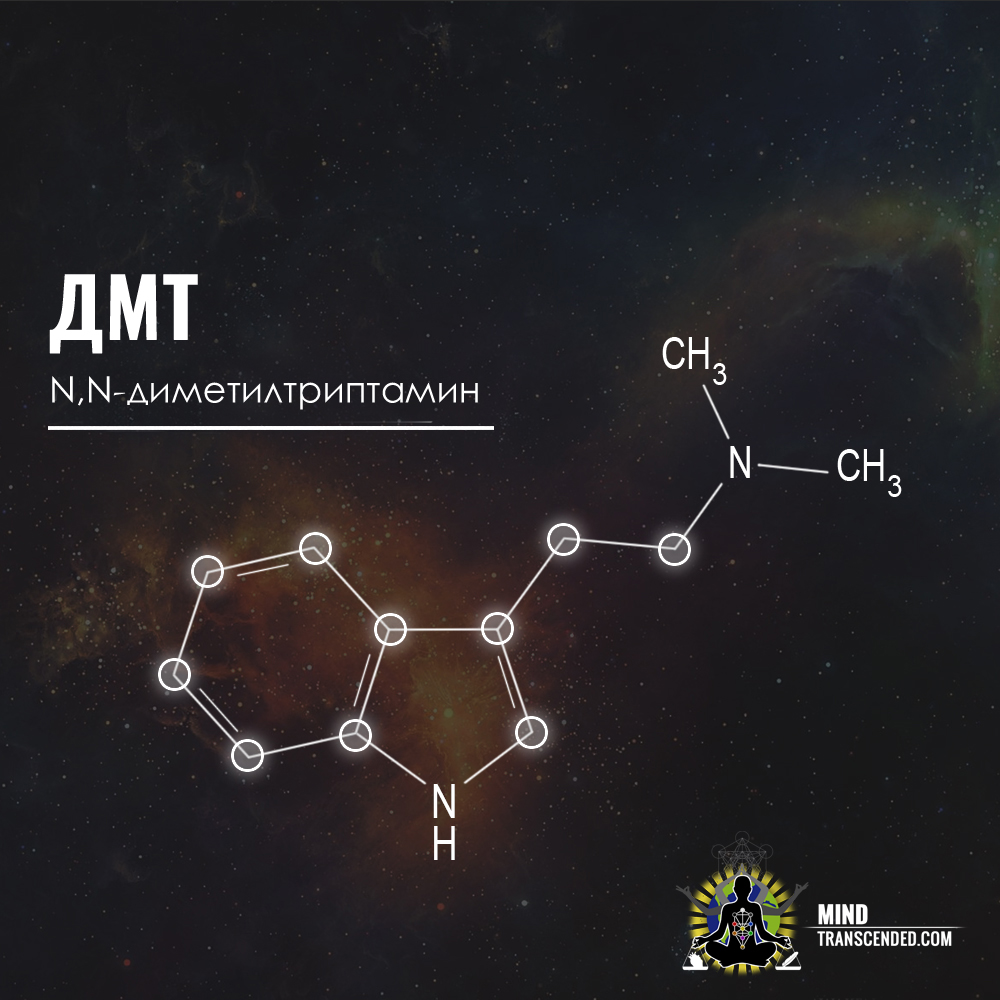 Dmt Molekulata Na Duha