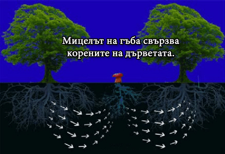 AVvXsEjMuBYrWt FHPbQWJaqMcA0tNN8uHlZJw8ykNIy3yL CkM1ZWXD6nGzWGVrn7I0cARnbYghFNsk7g19ATDxrO0oY6gQx3XqFpgw1sBmgP0jTeC3GRrT2Ls9DTBFkJ ULvmuohptBlFCsDuW0fQDF7ymZ3QqXYSW8 IU0b9Xui0cAH5yKdZZIAiq296Ls16000
